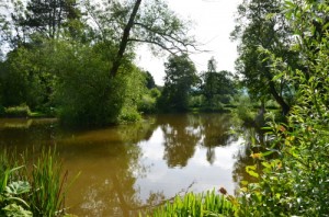main_pond_middle2_500