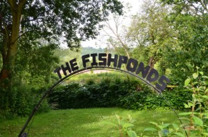 Fishponds_rod_500